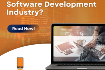 Software Development Industry